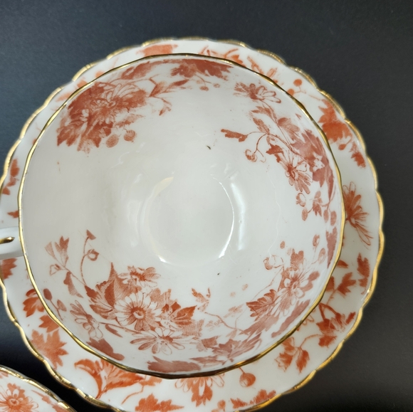 Spode Ryde T-Cup and Saucer - Picture 2 of 13